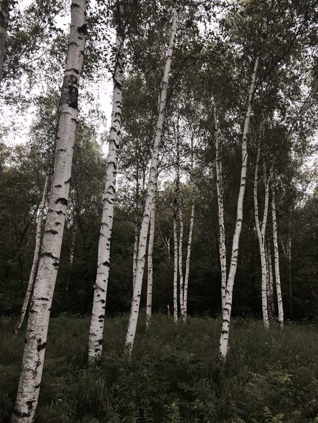 旅院三下乡,走进西大圈
