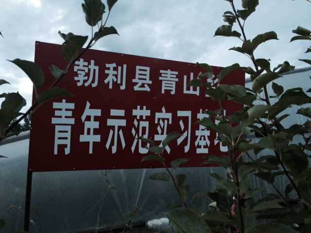旅院三下乡,走进西大圈
